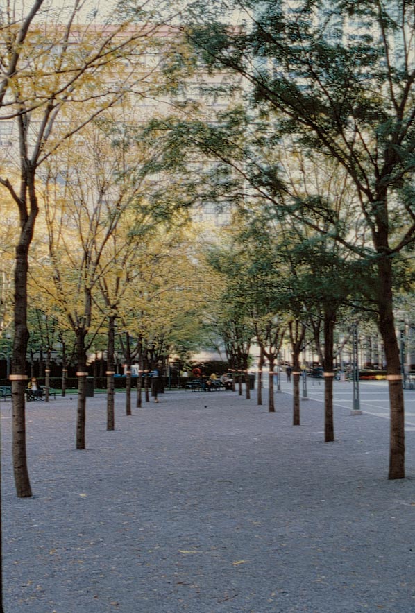 histórias, a project for The Public Art Fund, New York, NY (4)