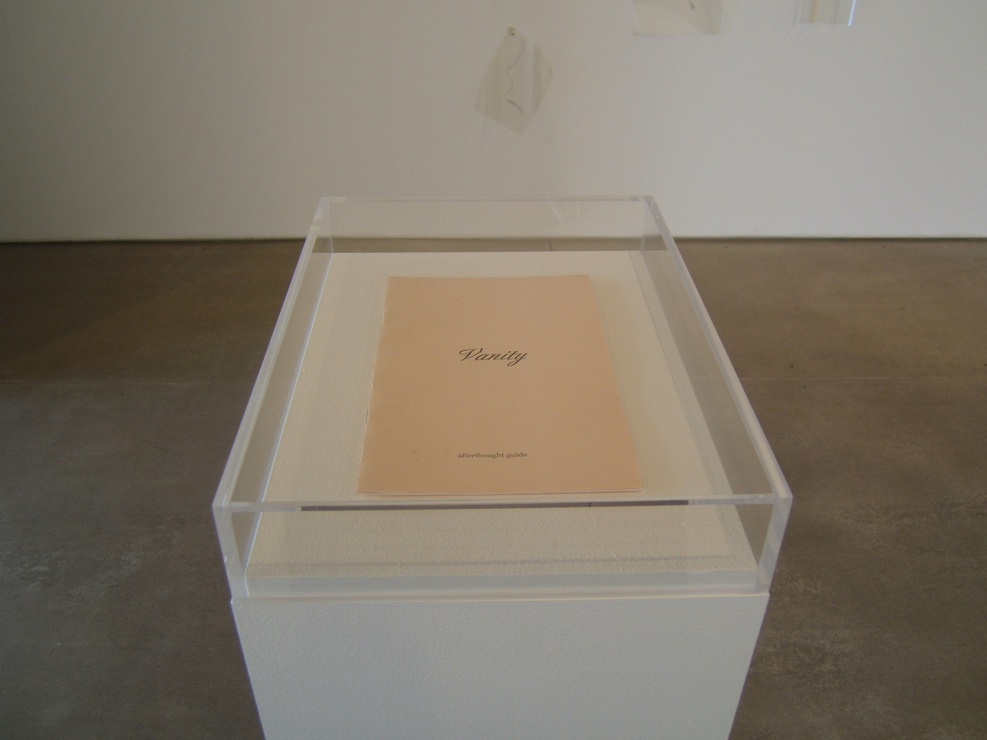 Vanity, Portland Institute of Contemporary Art (PICA), Portland, OR (4)