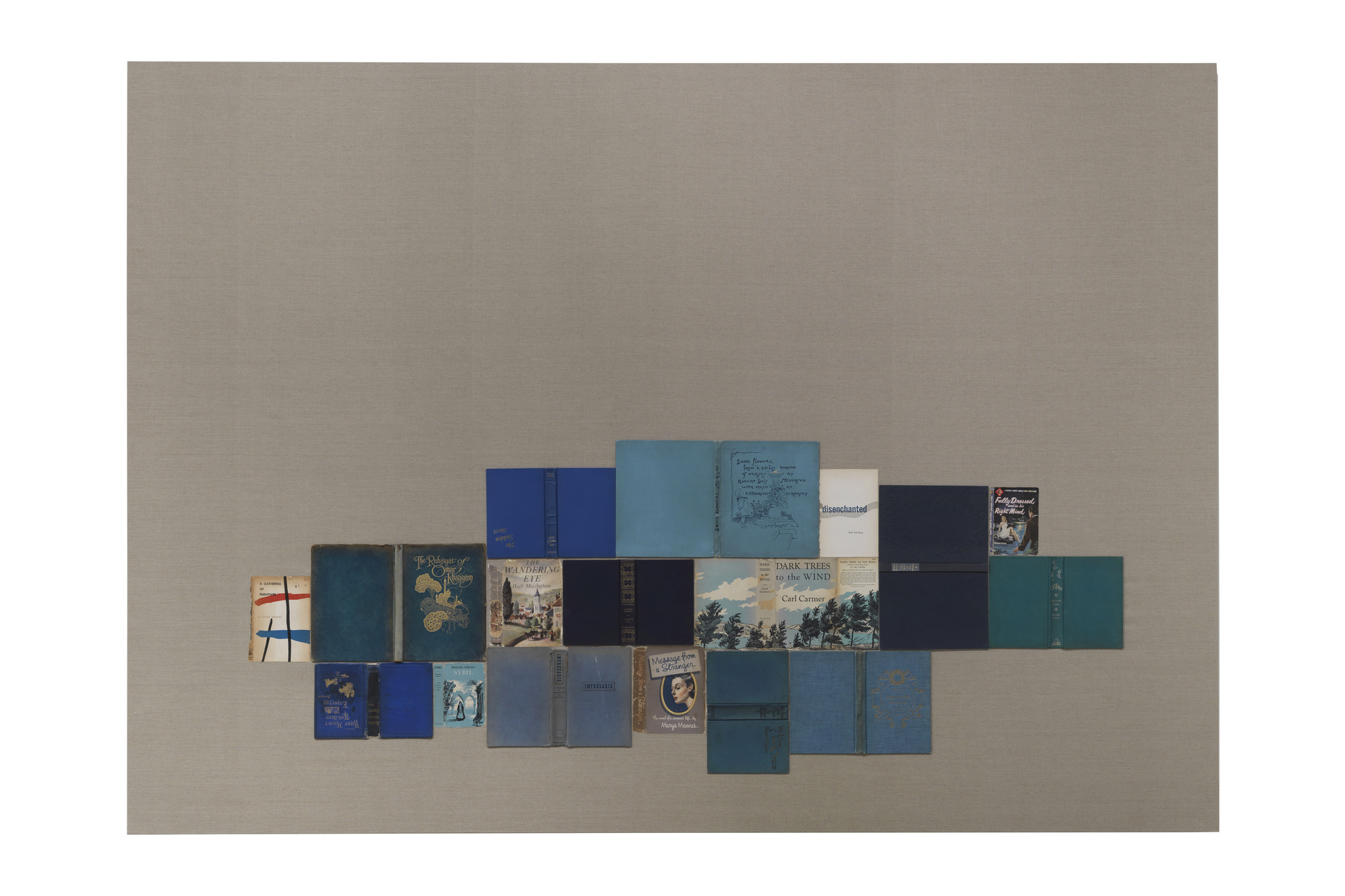 The Wandering Eye (From Bindings)