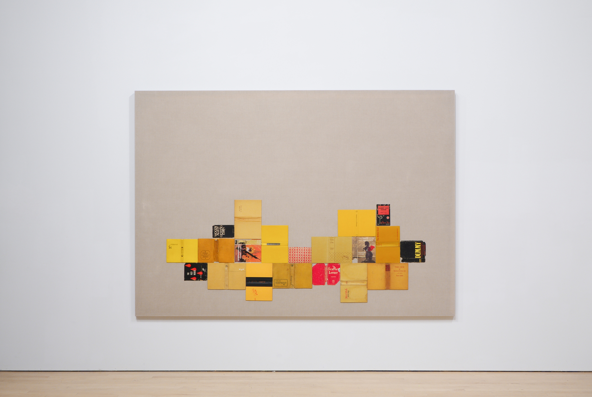 The Scarlet Letter (From Bindings) (2)