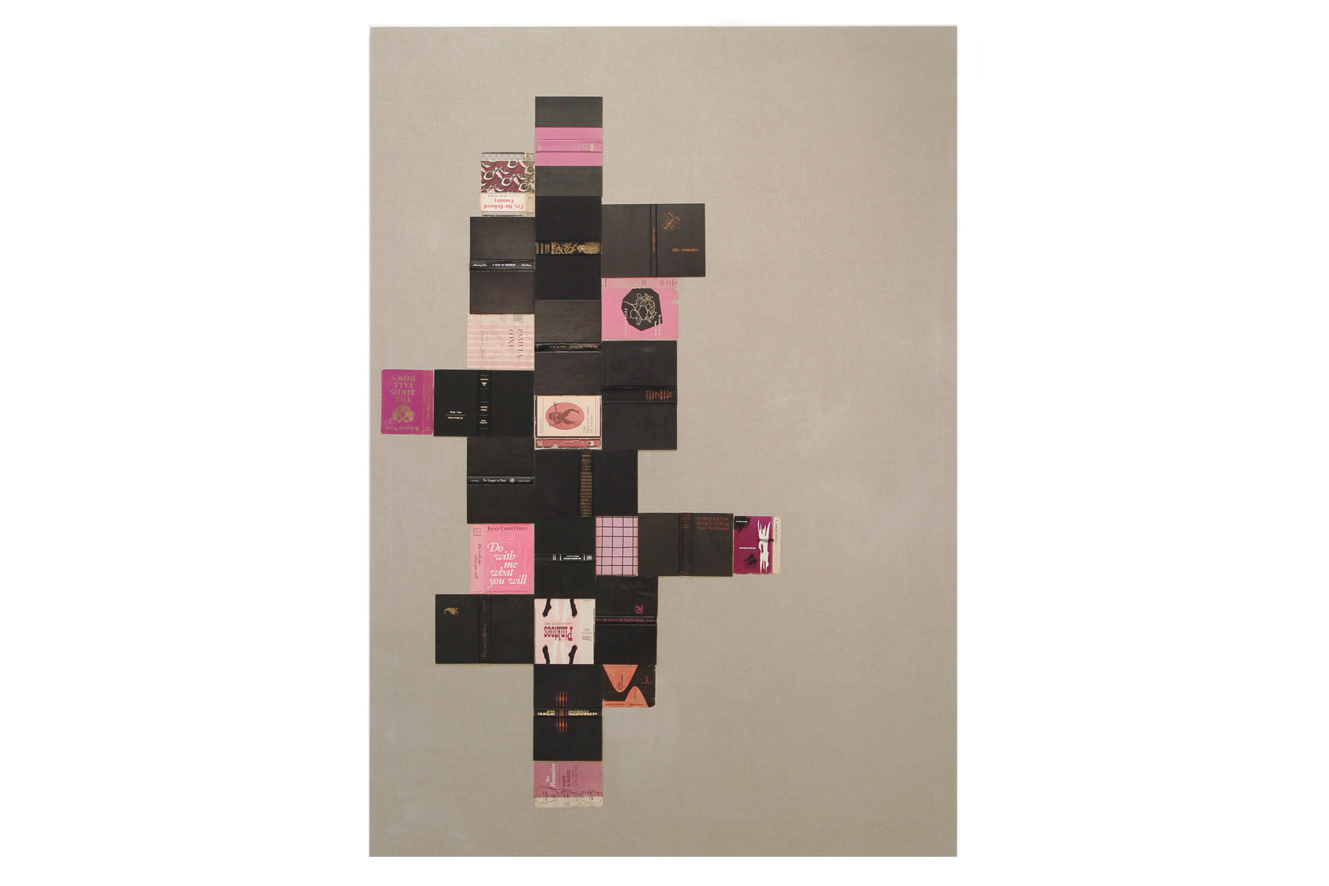 The Obscene Bird of Night (From Bindings)