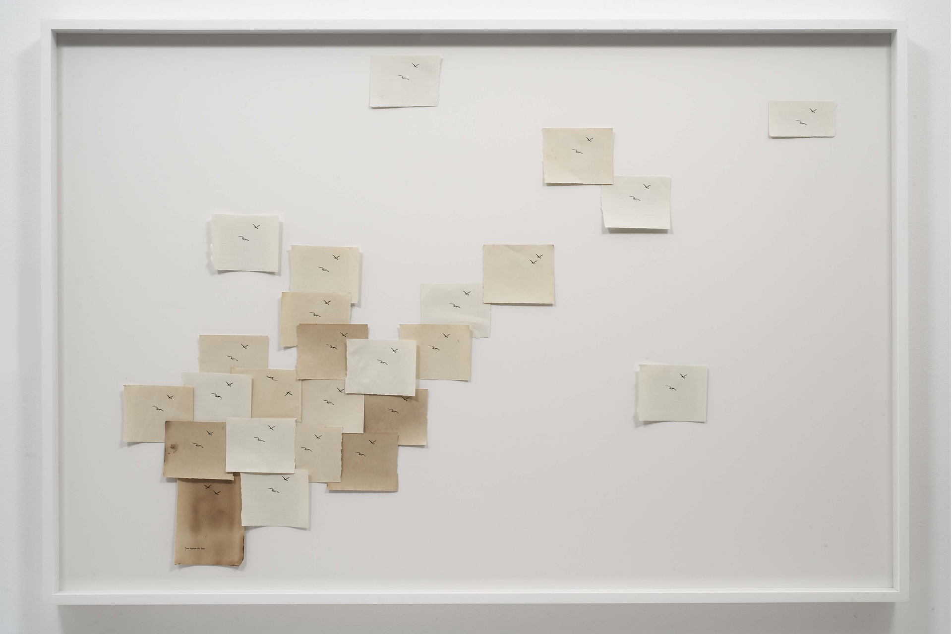 Two Against the Tide