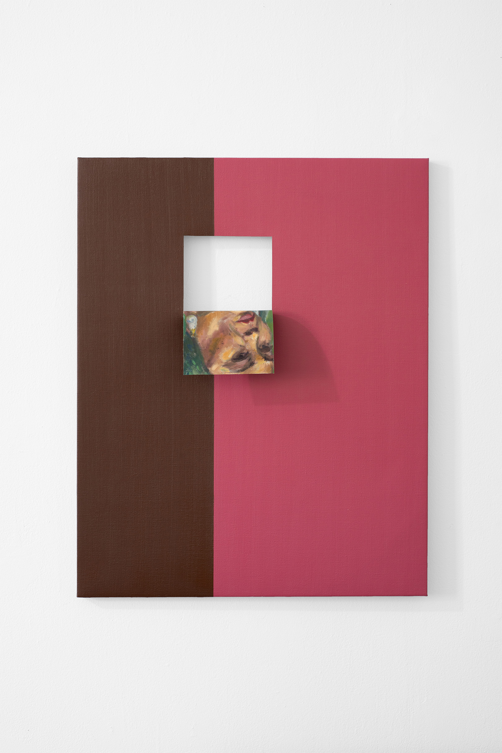 Doubleface (Burnt Umber/Rose Madder) (1)