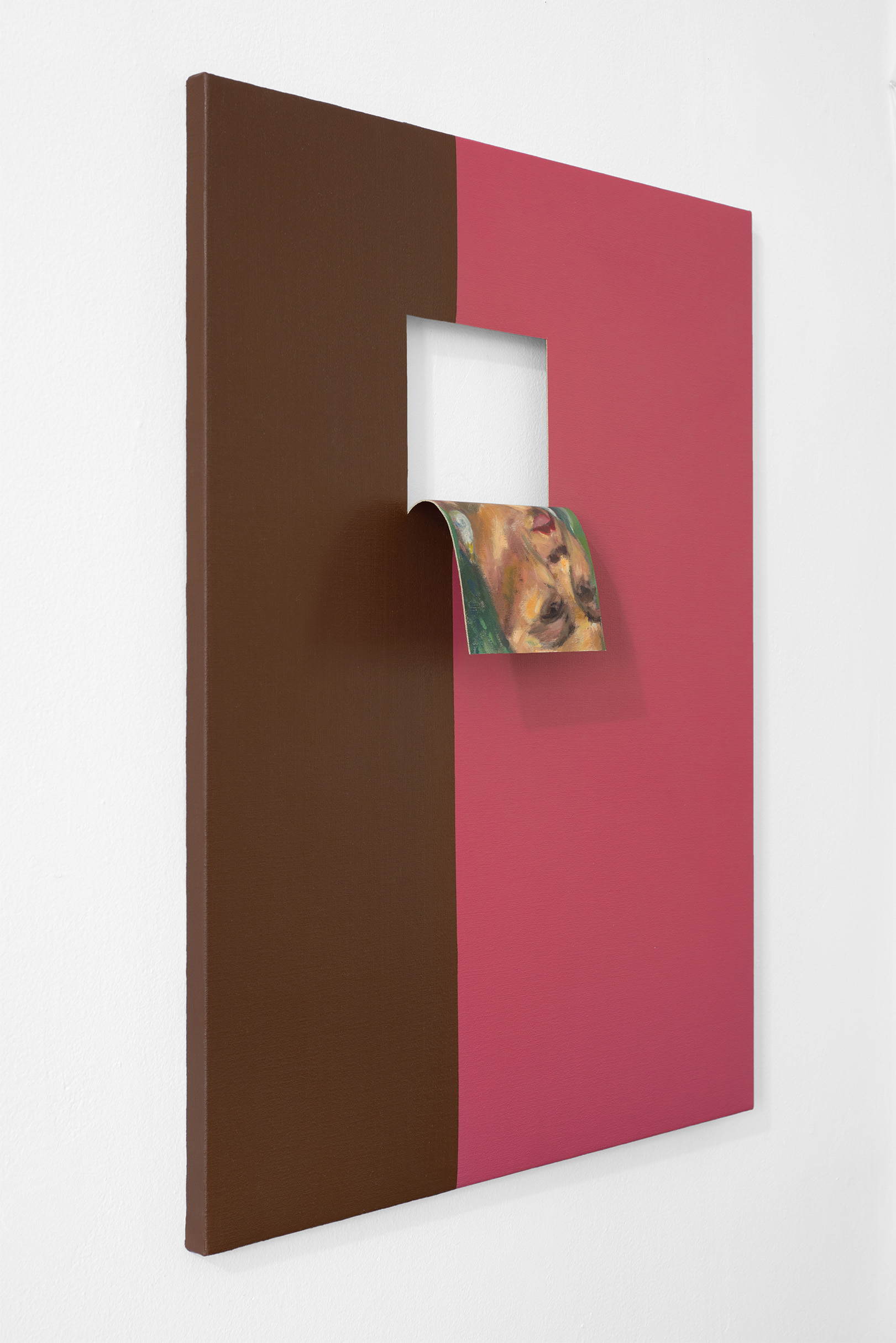 Doubleface (Burnt Umber/Rose Madder) (2)