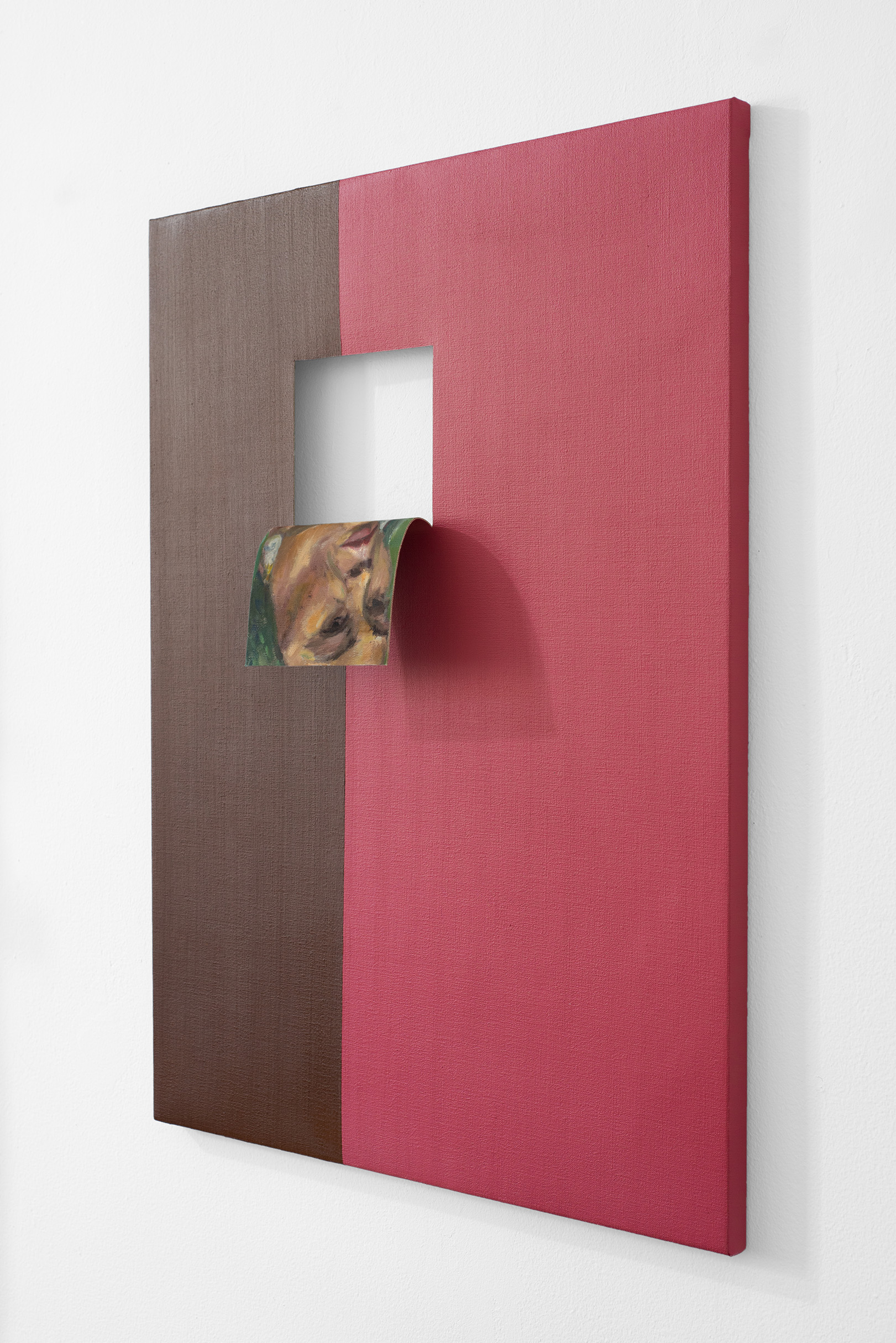 Doubleface (Burnt Umber/Rose Madder) (3)