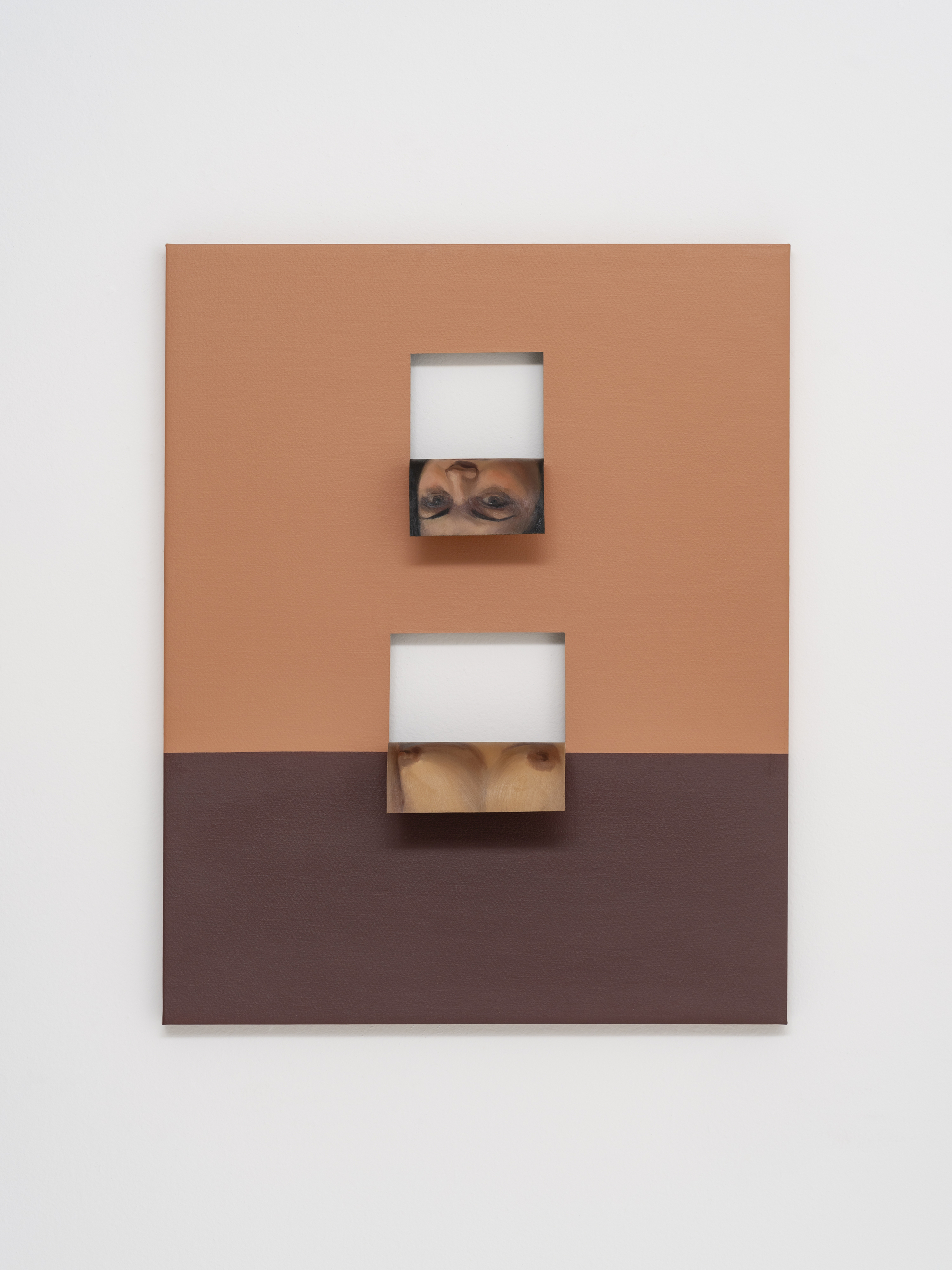 Doubleface (Van Dyck Brown/Imidazolone Brown) (1)