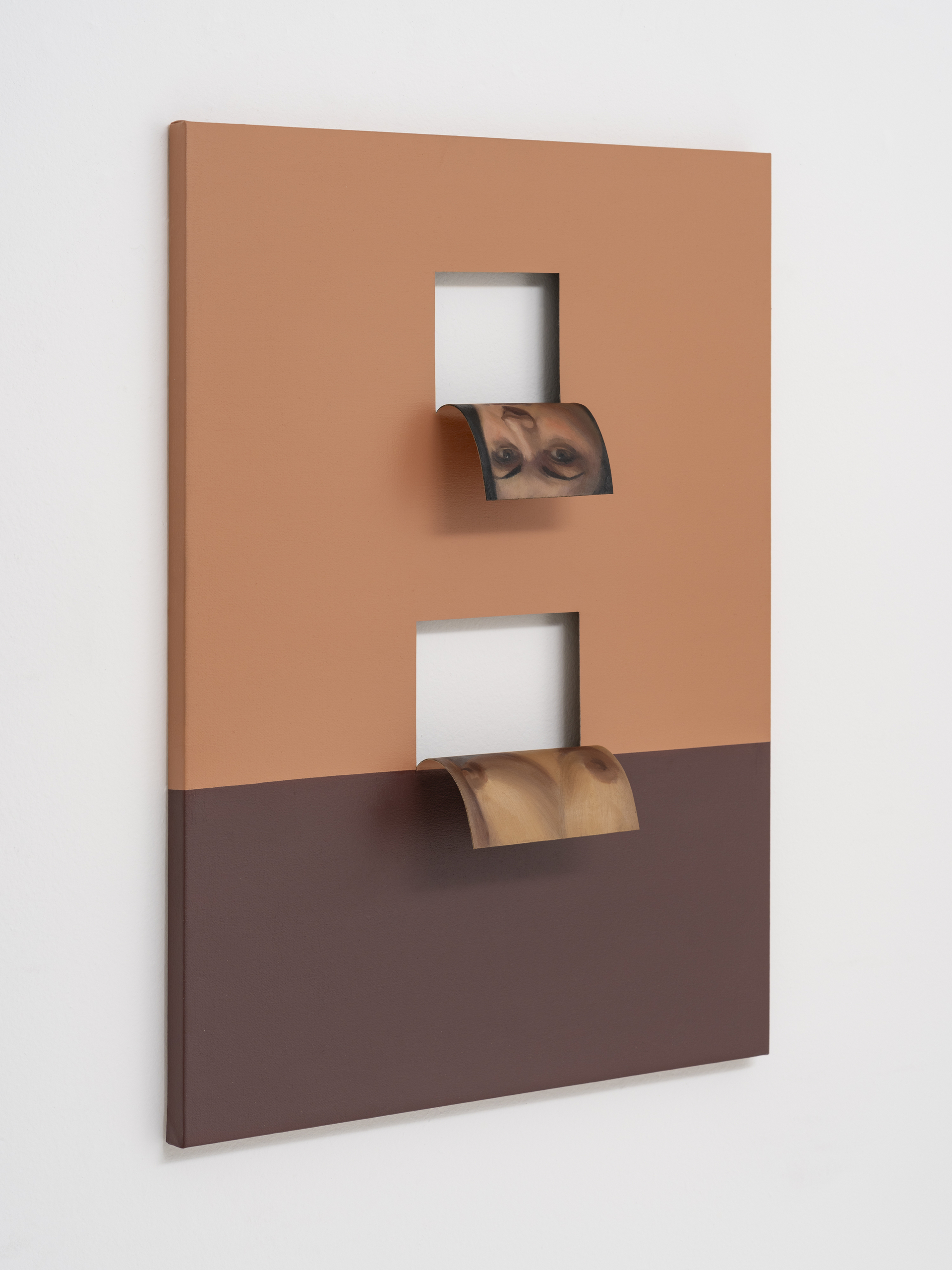 Doubleface (Van Dyck Brown/Imidazolone Brown) (2)