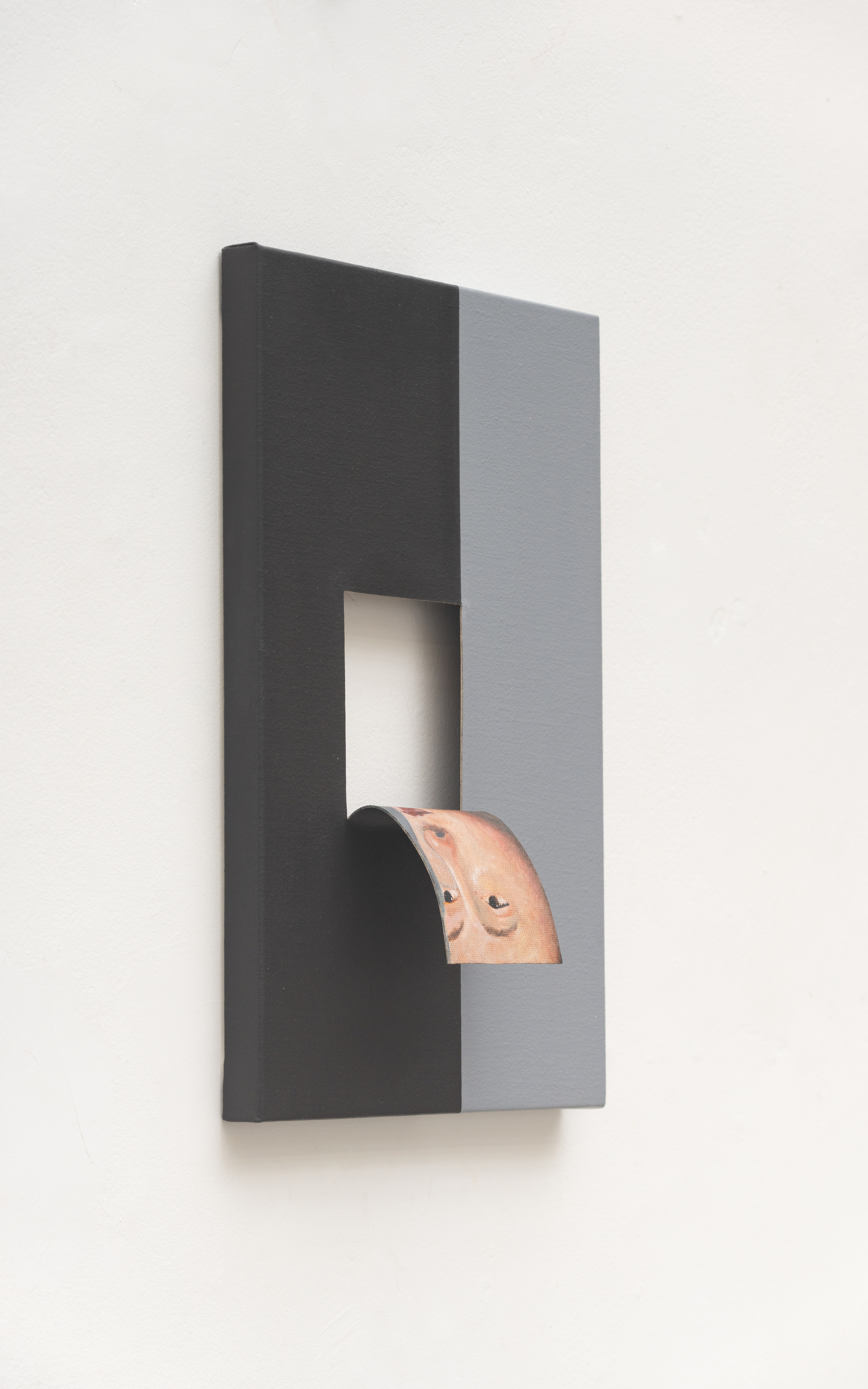 Doubleface (Ivory Black/Paynes Gray) (2)