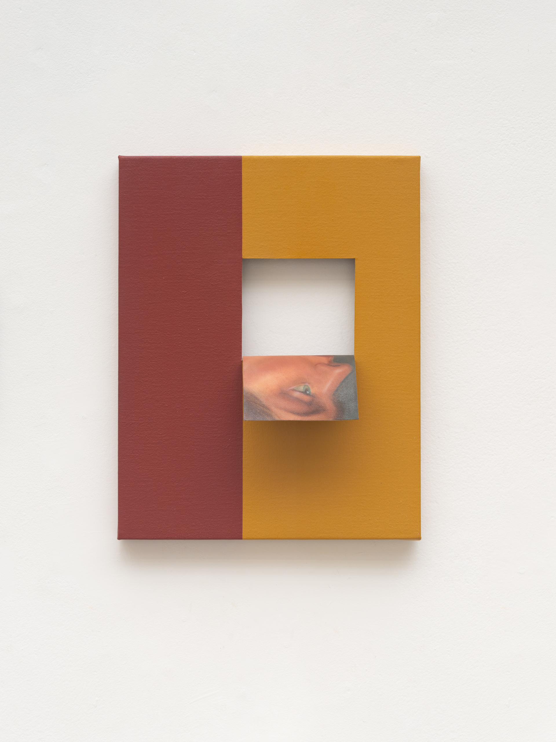 Doubleface (Raw Sienna/Cadmium Yellow) (1)