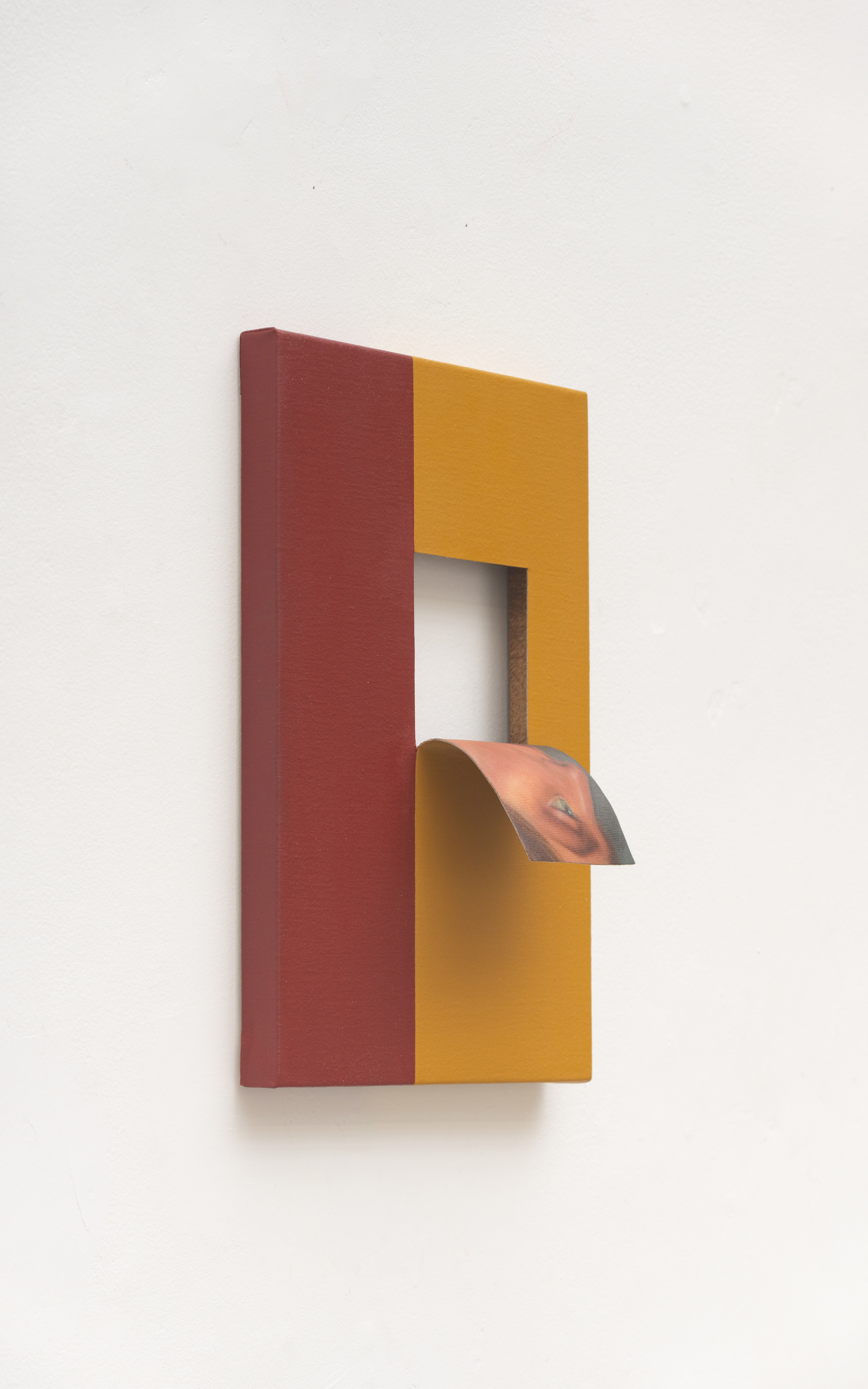 Doubleface (Raw Sienna/Cadmium Yellow) (2)