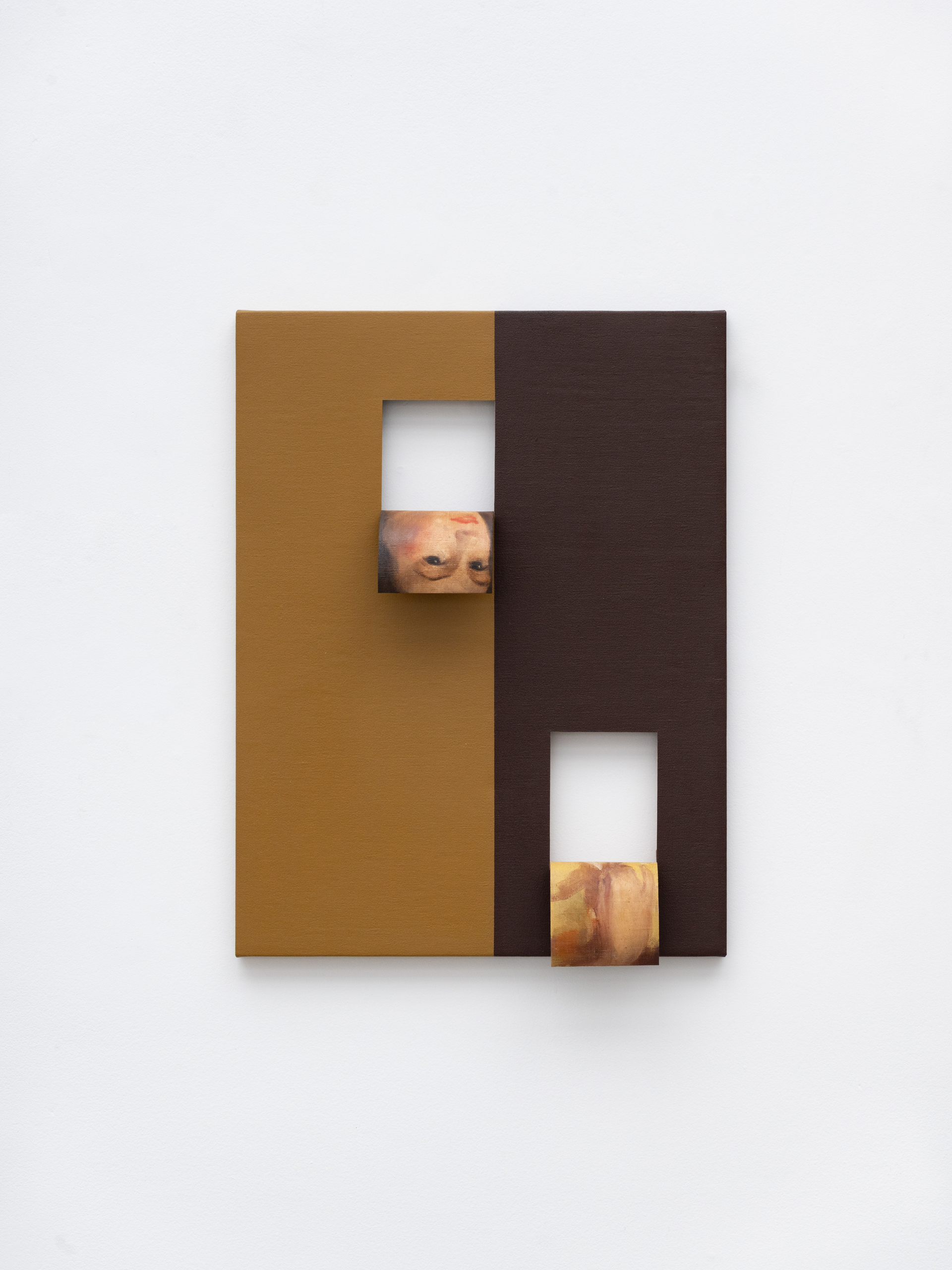 Doubleface (Light Yellow Ochre / Burnt Sienna) (1)