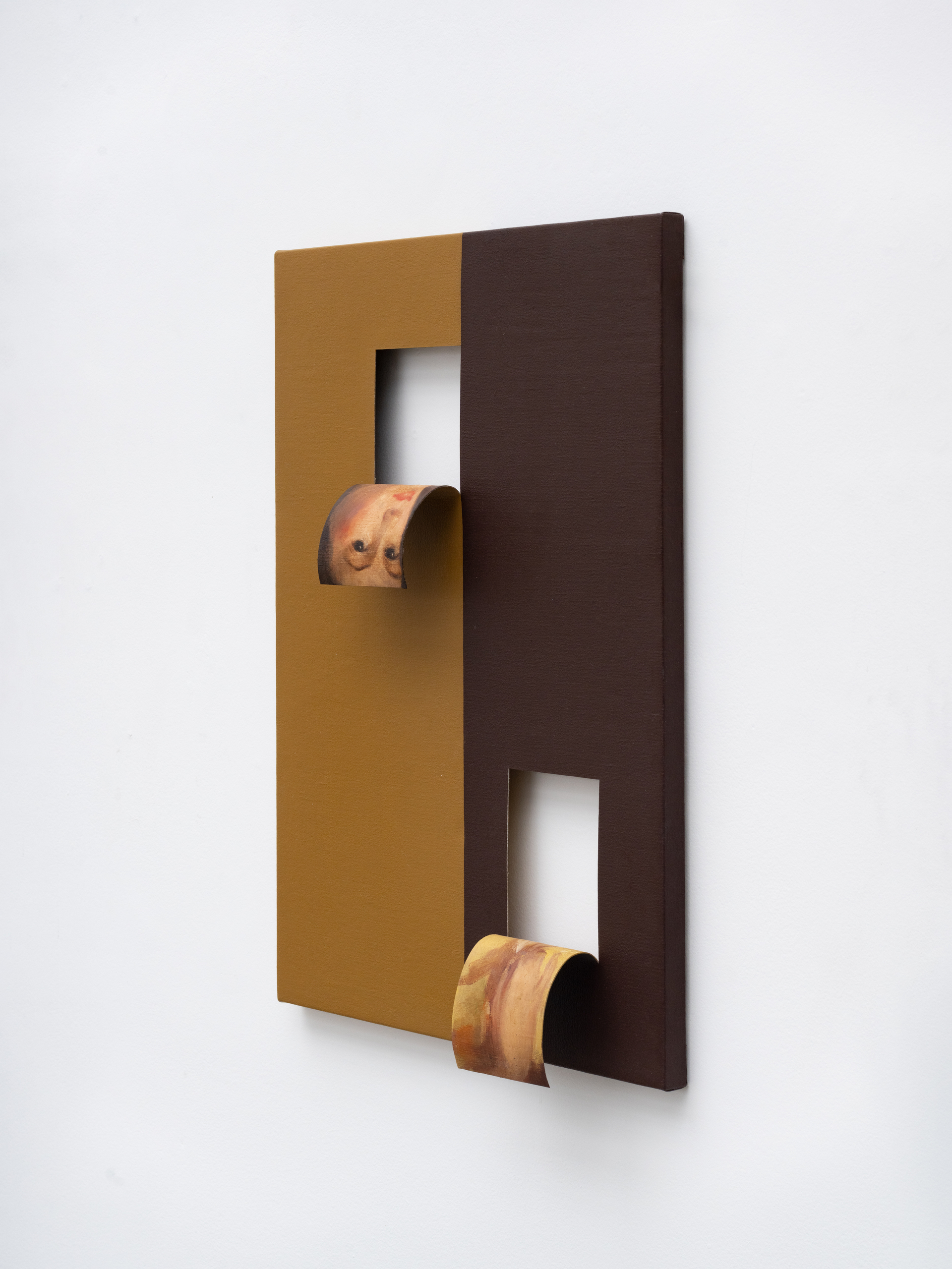 Doubleface (Light Yellow Ochre / Burnt Sienna) (2)