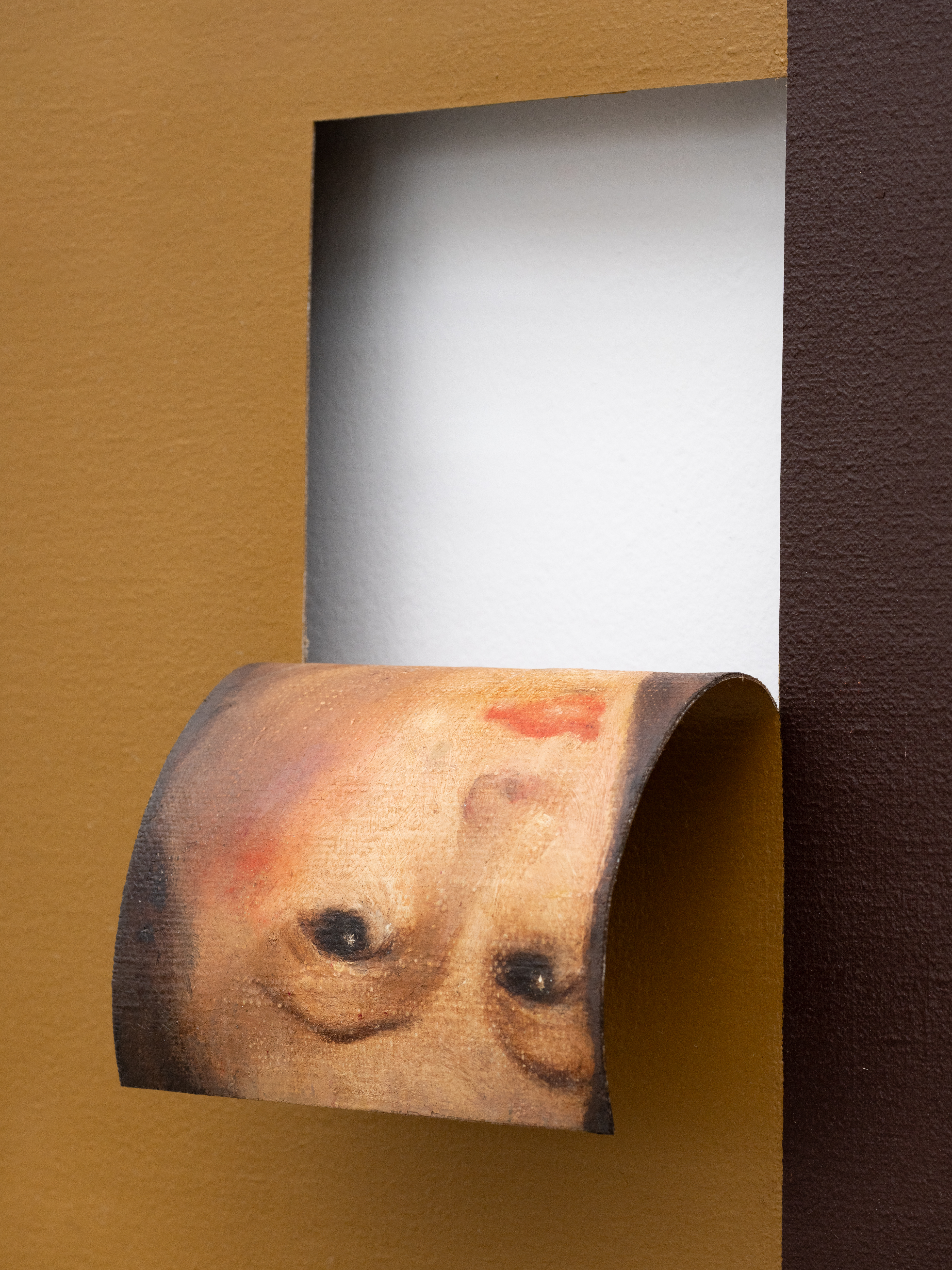 Doubleface (Light Yellow Ochre / Burnt Sienna) (3)