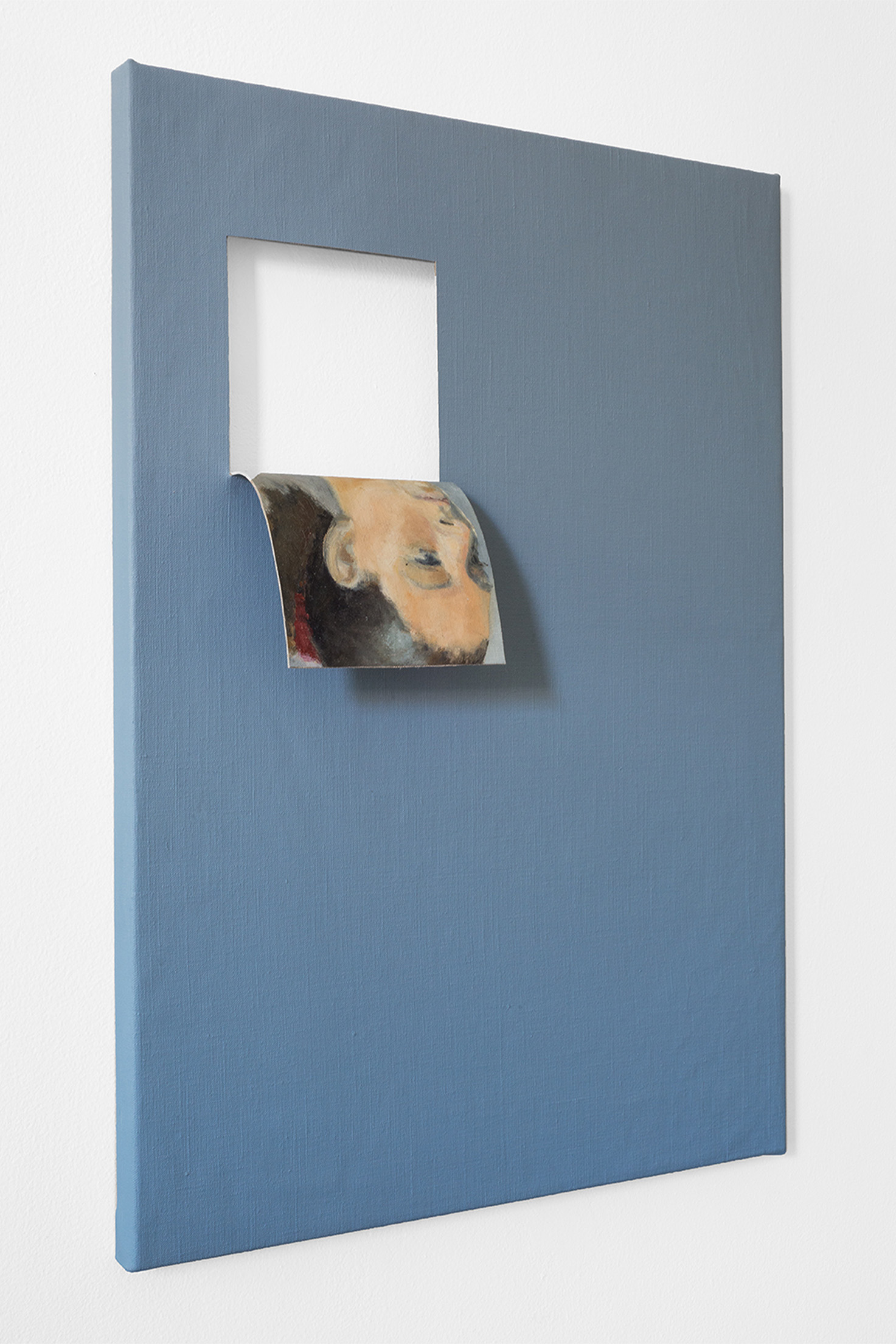 Doubleface (Arctic Blue) (2)