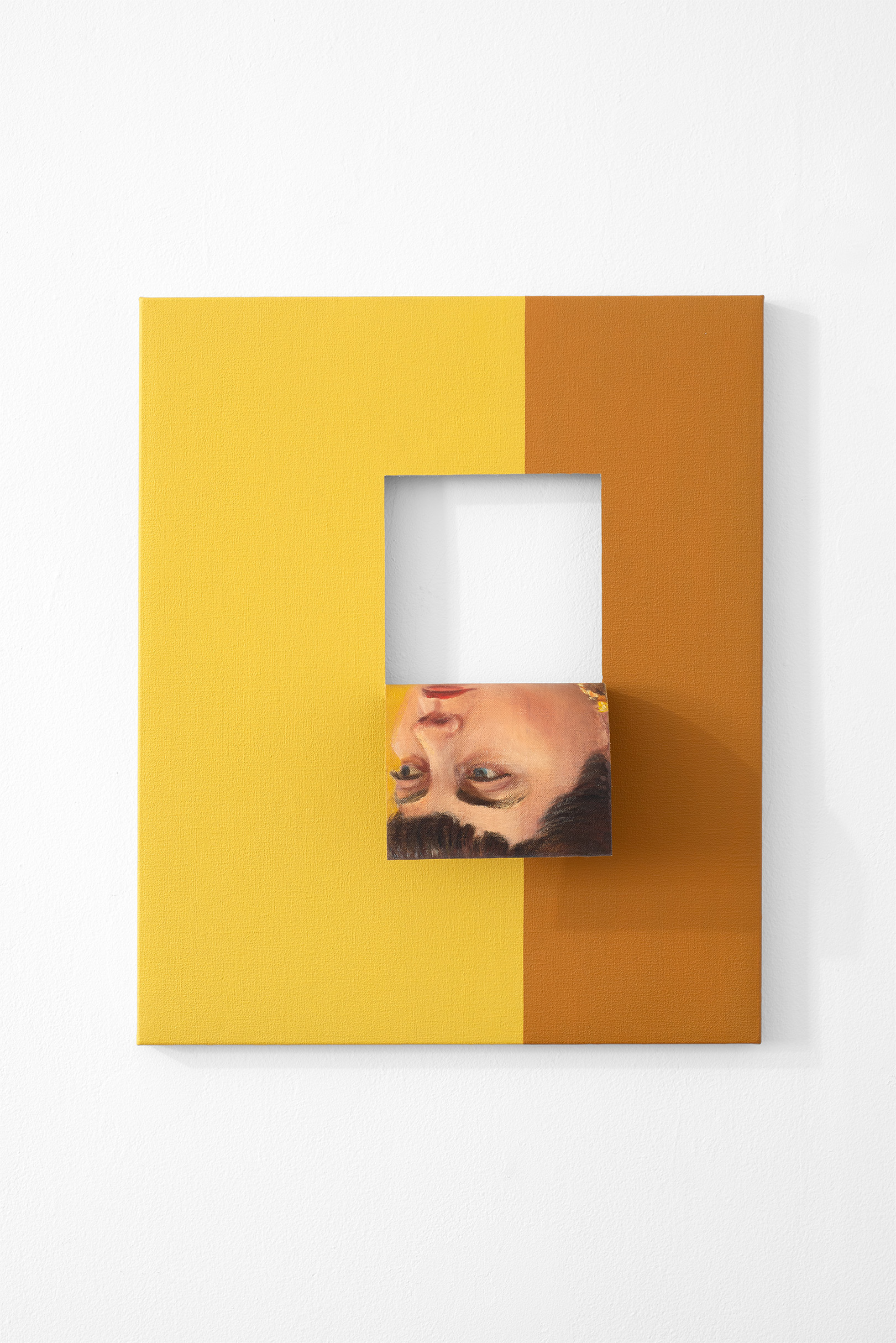 Doubleface (Cadmium Pale Yellow/Raw Sienna) (1)