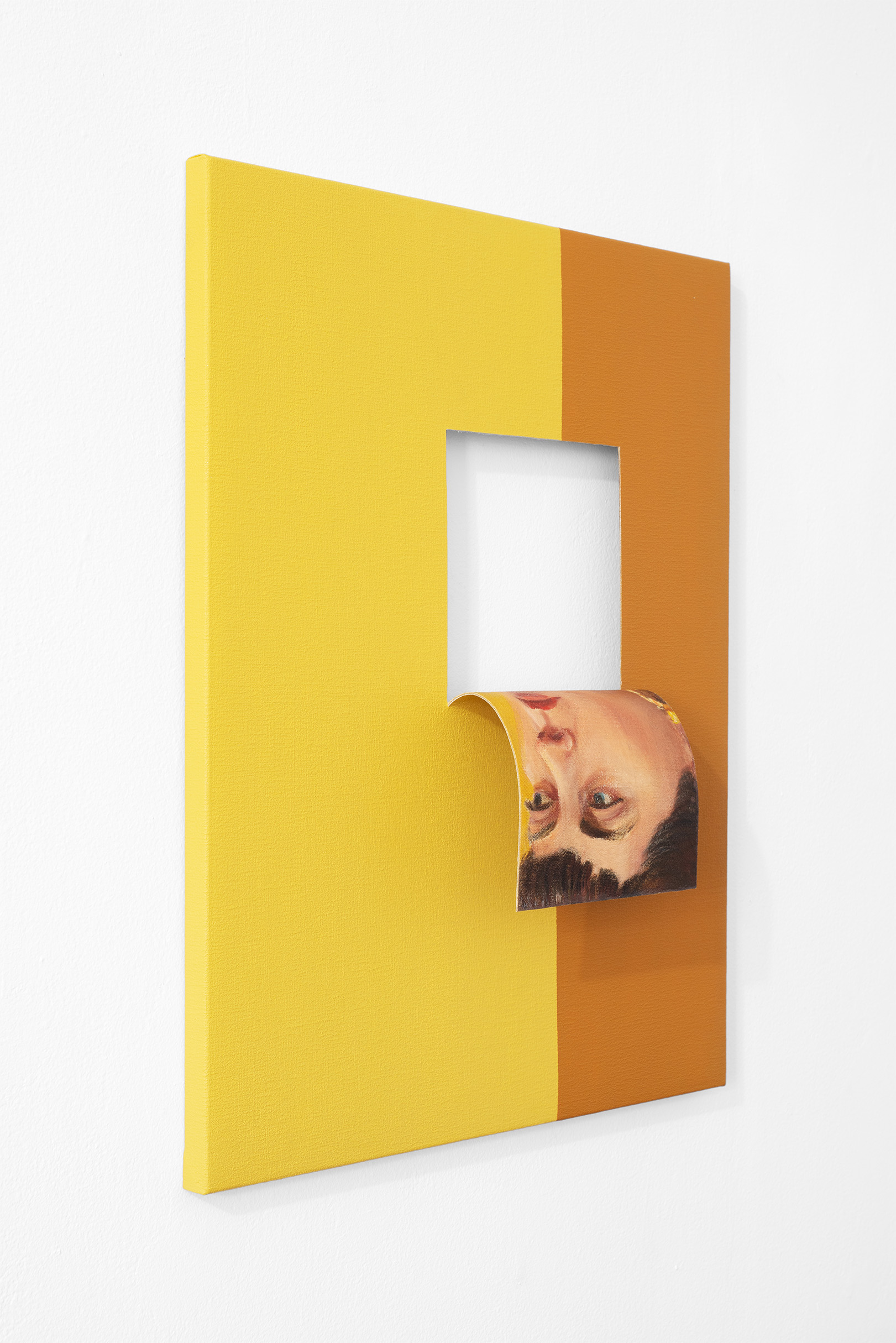 Doubleface (Cadmium Pale Yellow/Raw Sienna) (2)