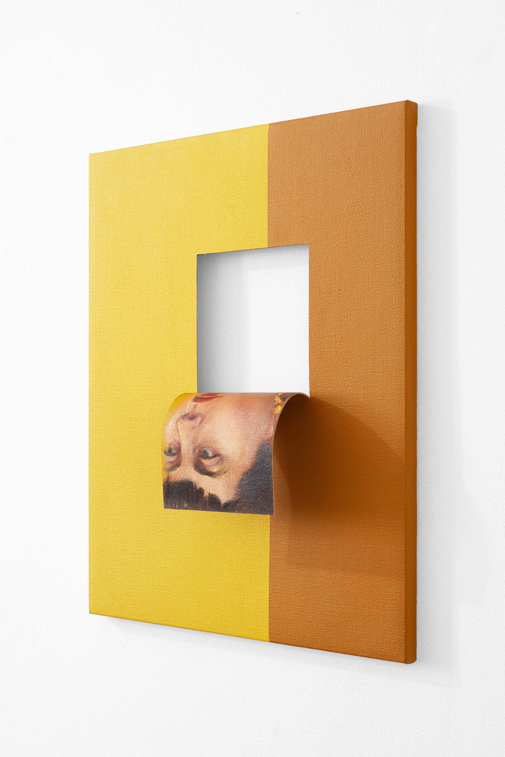 Doubleface (Cadmium Pale Yellow/Raw Sienna) (3)