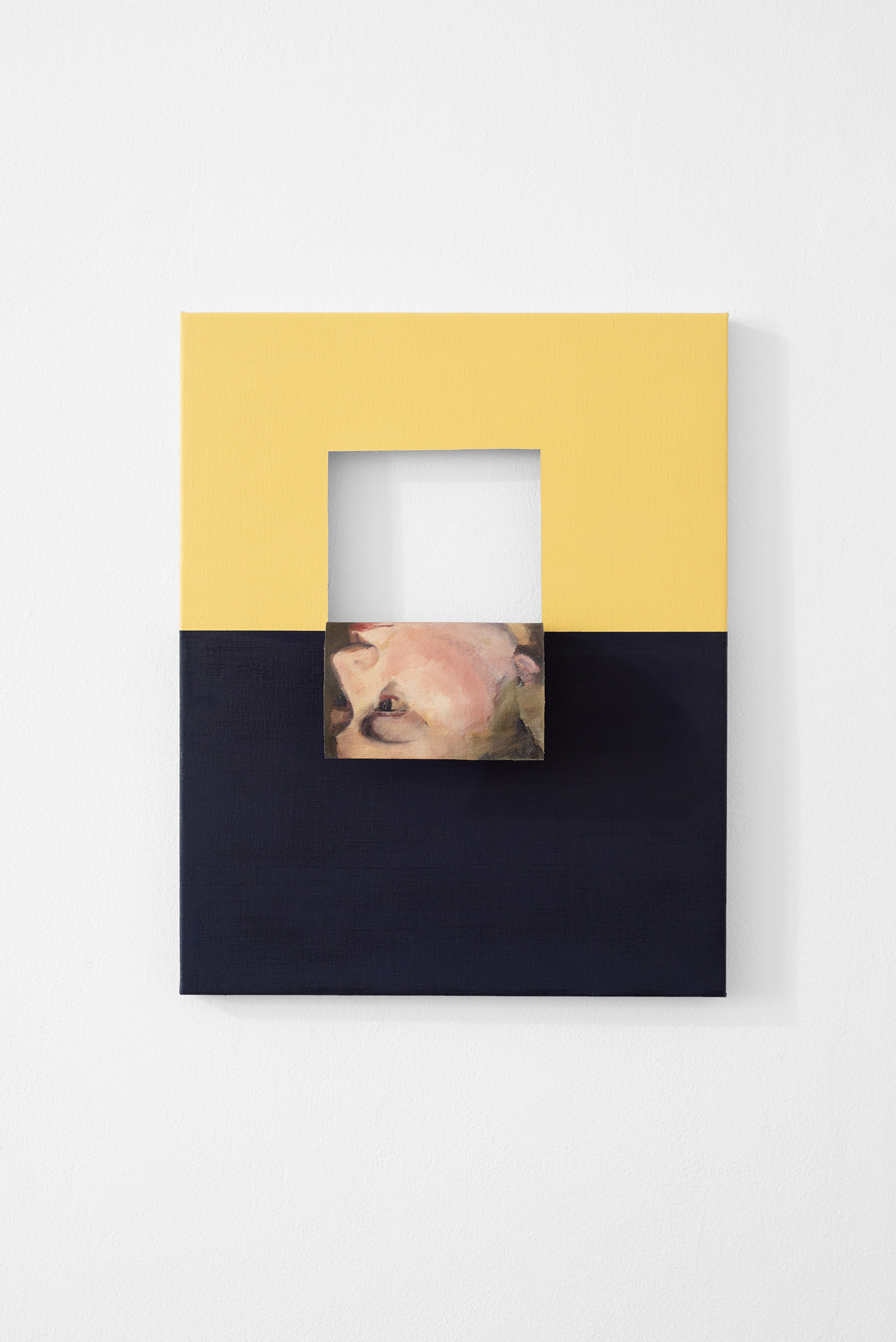 Doubleface (Cadmium Yellow Light/Raw Umber) (1)