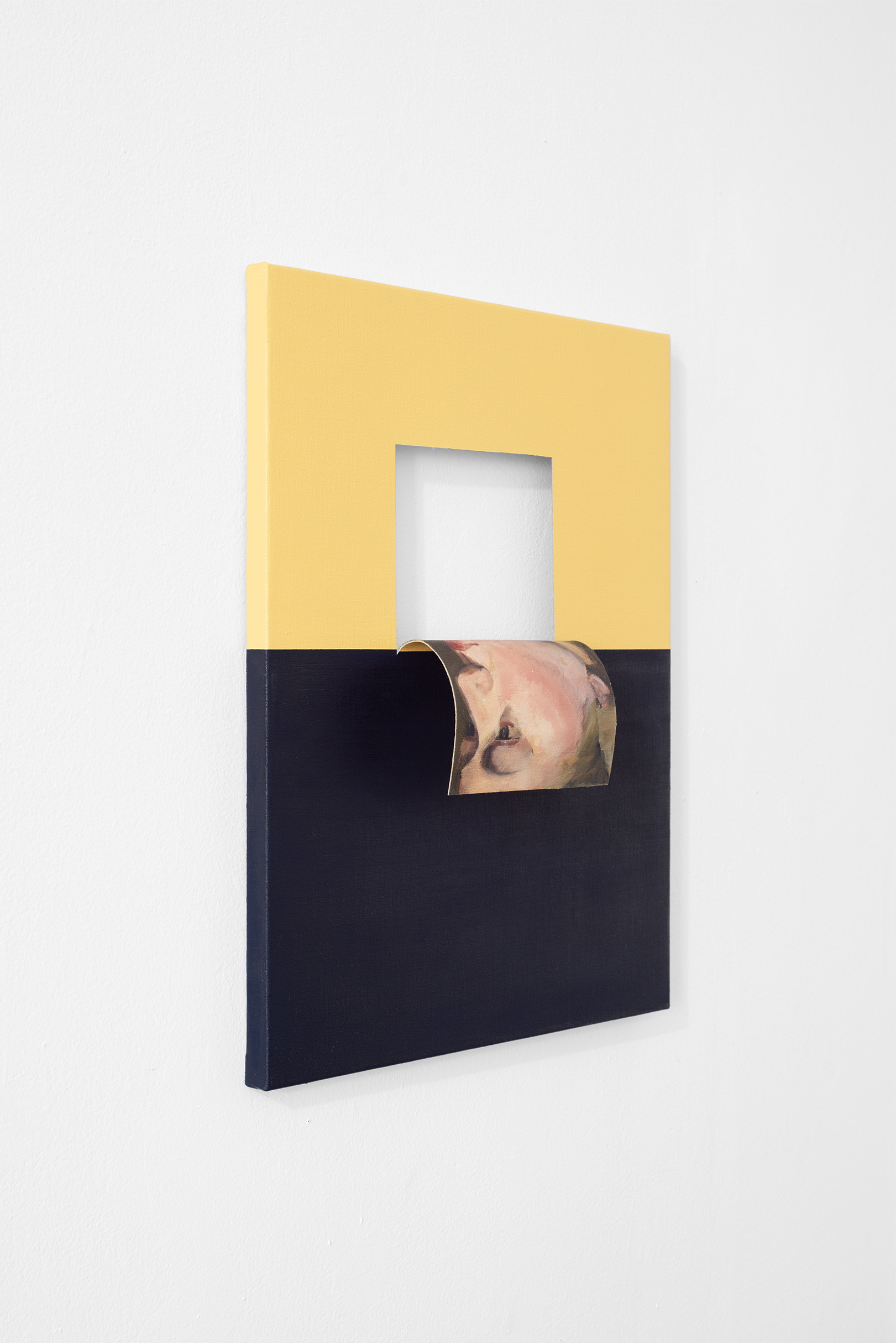 Doubleface (Cadmium Yellow Light/Raw Umber) (2)
