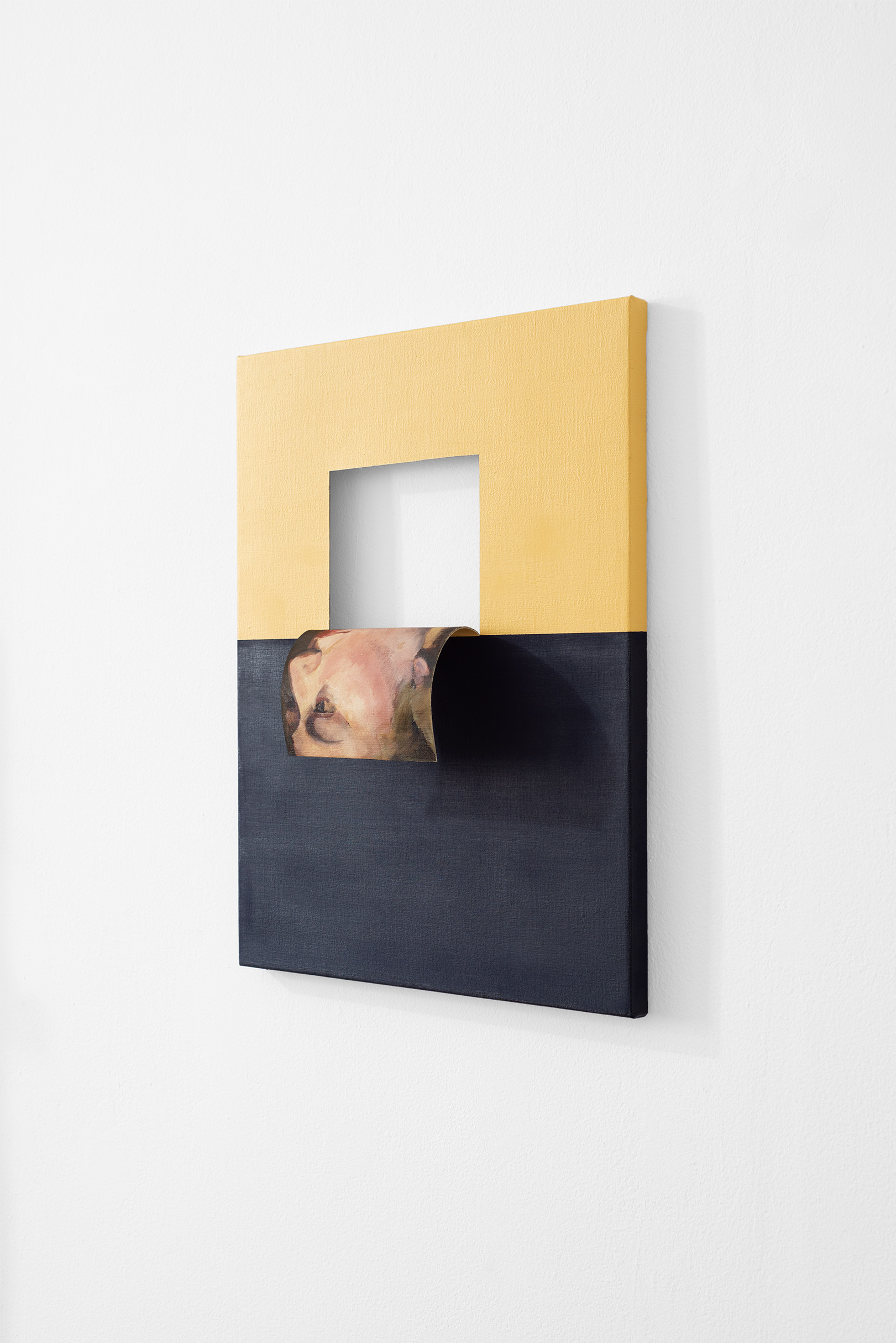 Doubleface (Cadmium Yellow Light/Raw Umber) (3)
