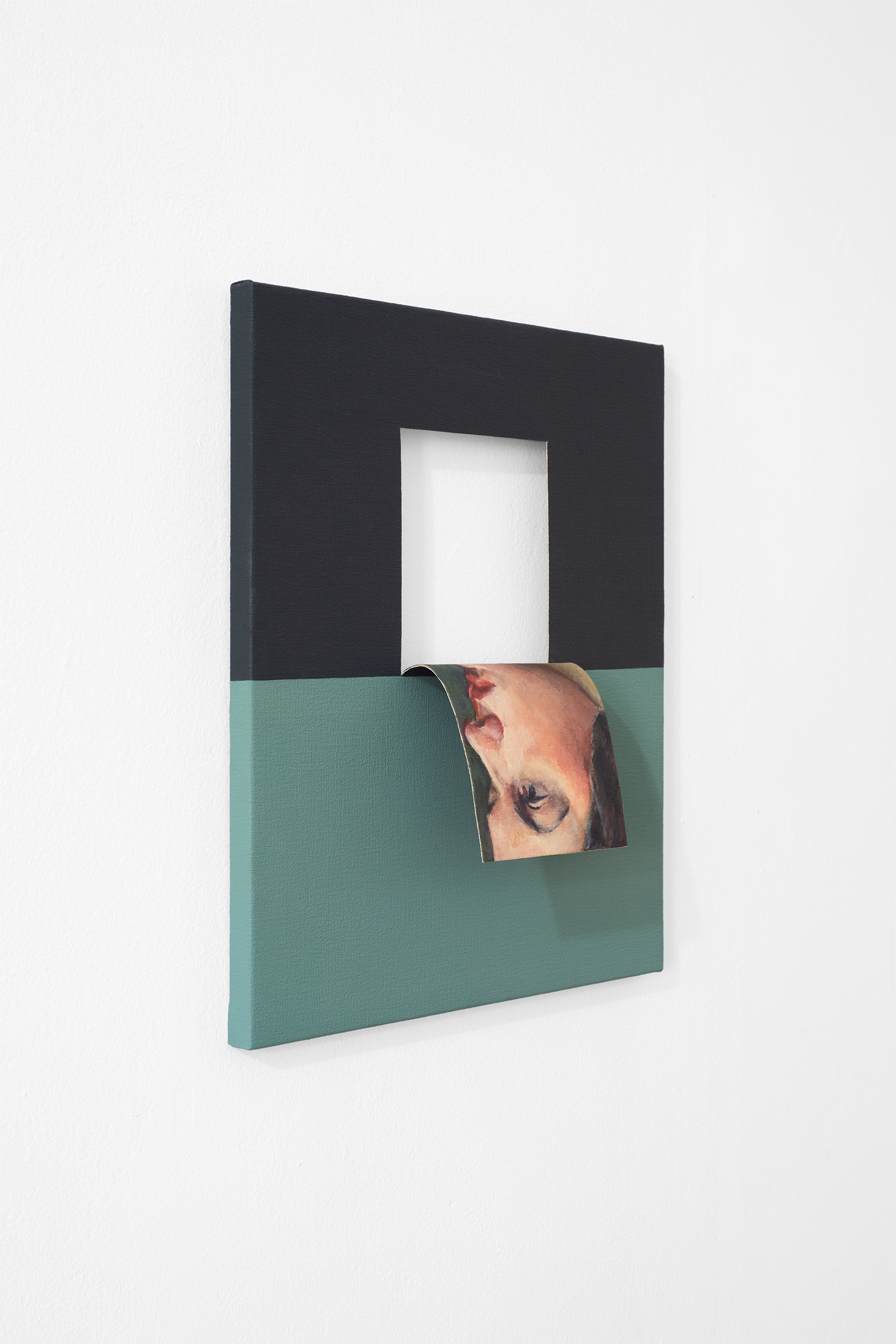 Doubleface (Mars Black/Pthalo Green) (2)